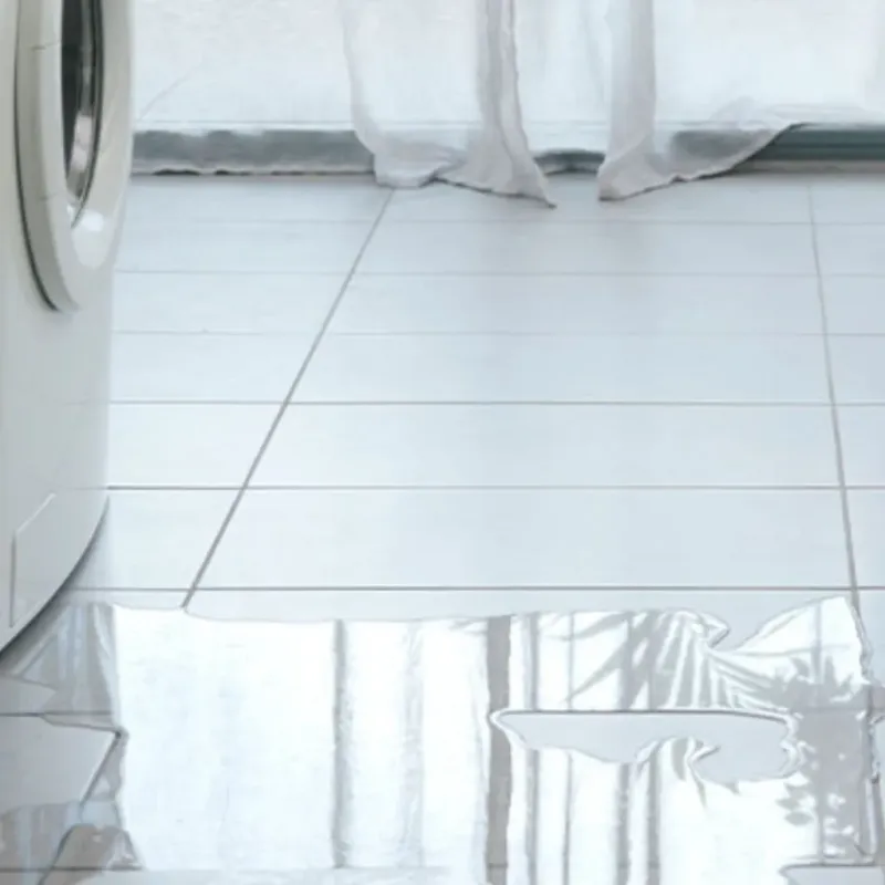 Appliance Leak Cleanup in Alta Sierra, CA