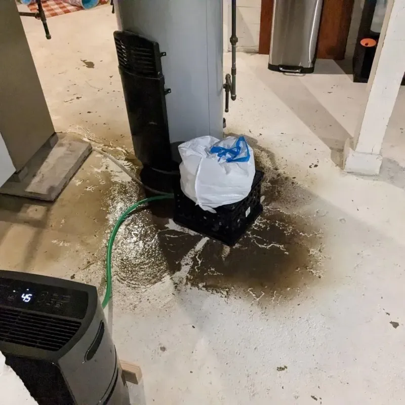 Sewage Backup Cleanup Service in Alta Sierra, CA